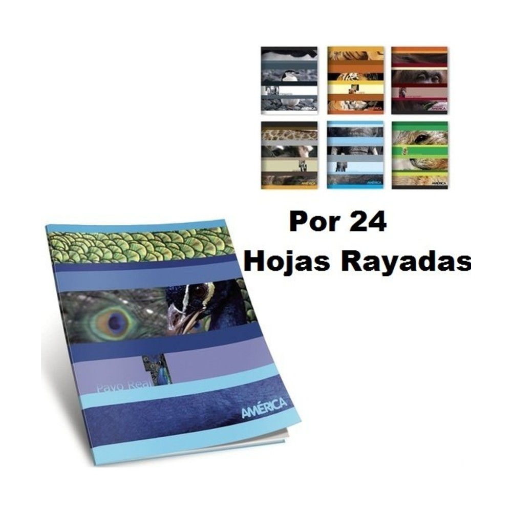 Cuaderno América tapa flexible 24 hojas rayado